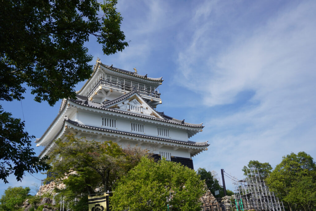 從金華山山頂眺望岐阜城